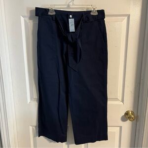 LOFT Navy Women's Chinos
